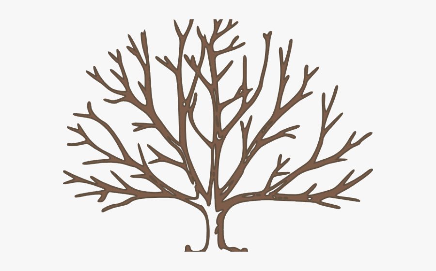 Draw A Winter Tree, Transparent Clipart