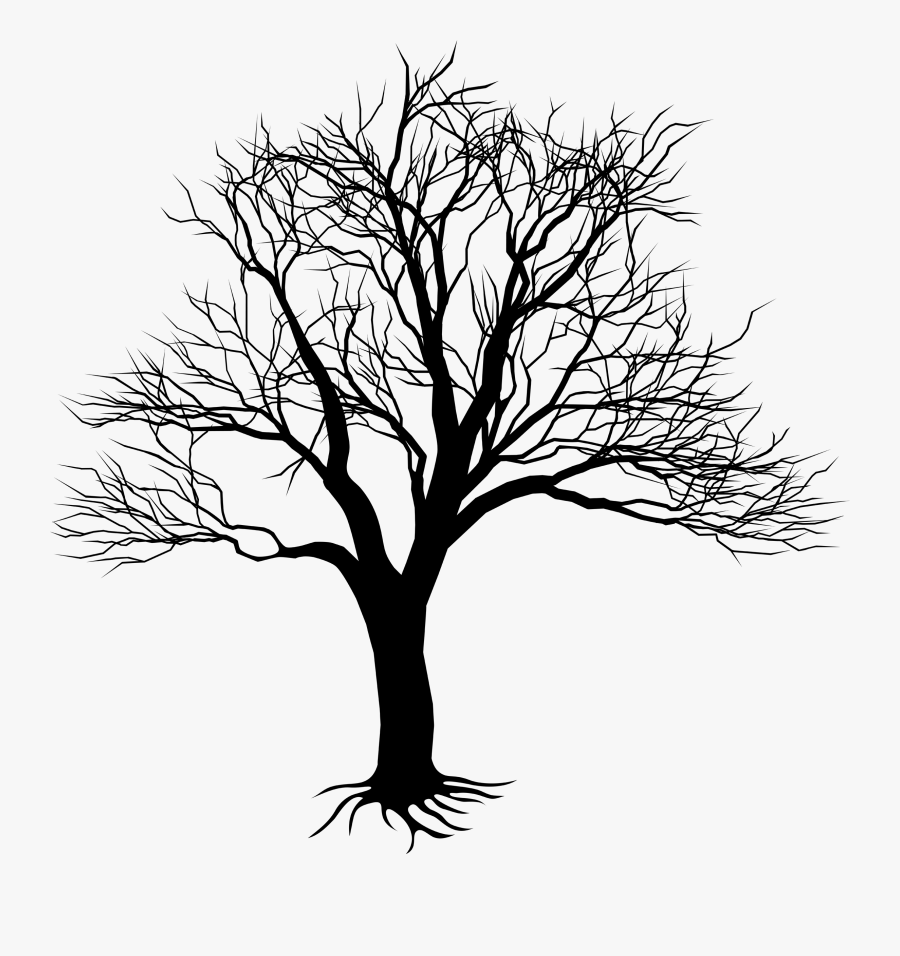 Clip Art Oak Tree Drawing - Kill A Mockingbird Tree, Transparent Clipart