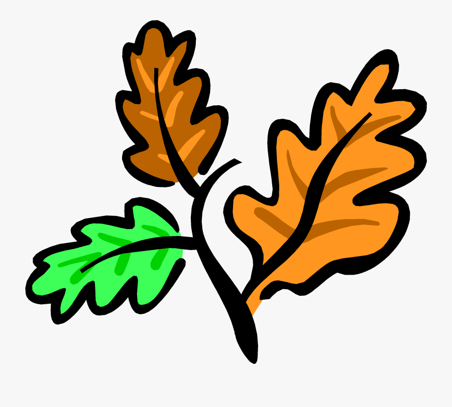 Download Oak Tree Leaves Clip Art Clipart Leaf Clip - Questions About Agriculture Food And Natural Resources, Transparent Clipart