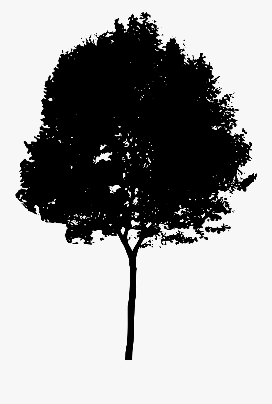 Tree Silhouette Hd Clipart - Birch Tree Silhouette Png, Transparent Clipart