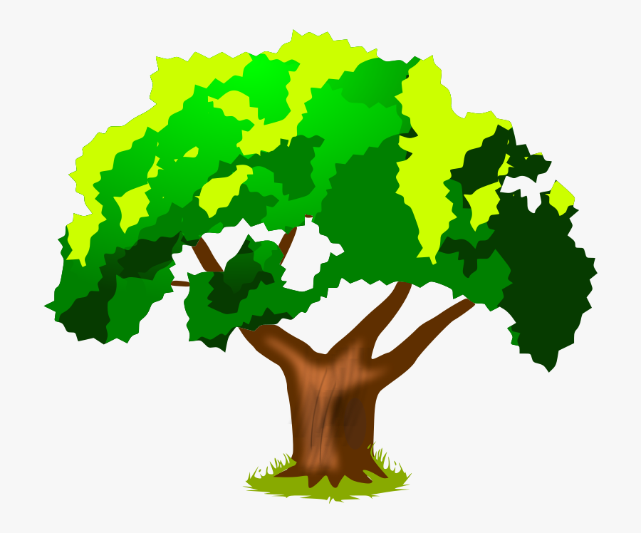 Plant,leaf,tree - Harwood Park Primary School, Transparent Clipart