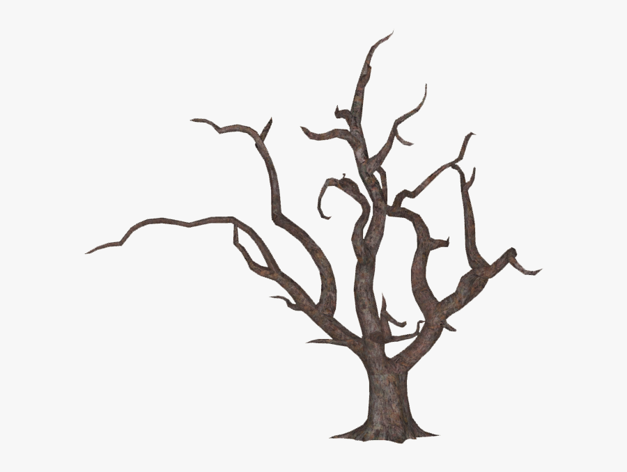 Clip Art Dead Oak Tree - Oak, Transparent Clipart