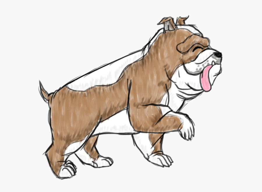 Duke The English Bulldog - Illustration, Transparent Clipart