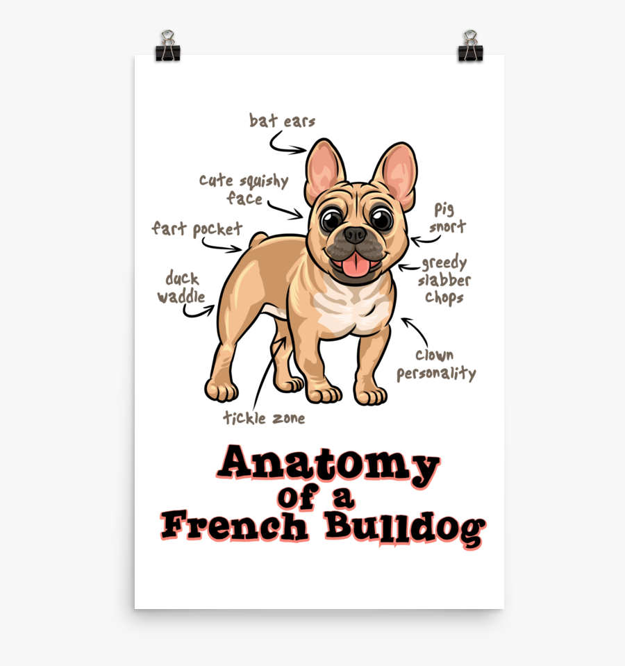 Transparent Pug Face Clipart - French Bulldog, Transparent Clipart