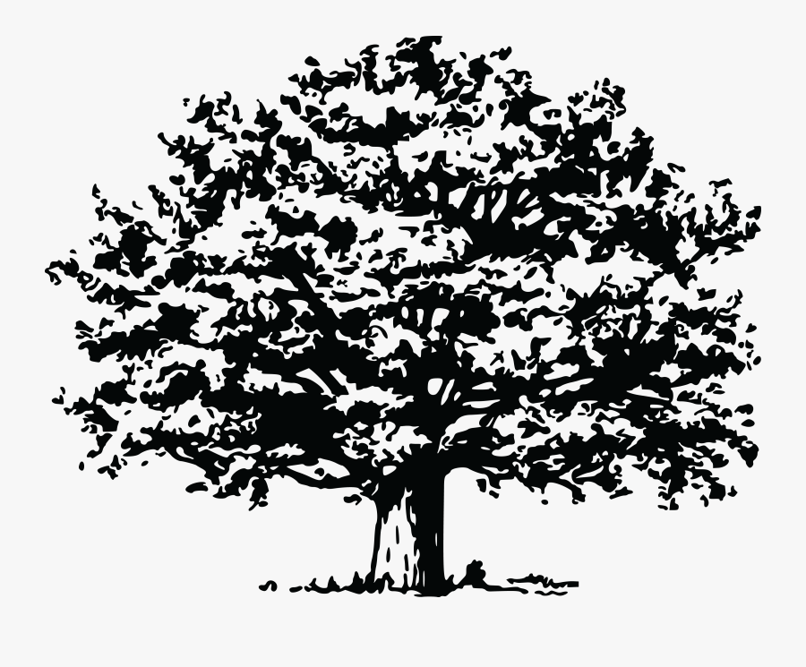 Black And White Tree Images Clip Art, Transparent Clipart