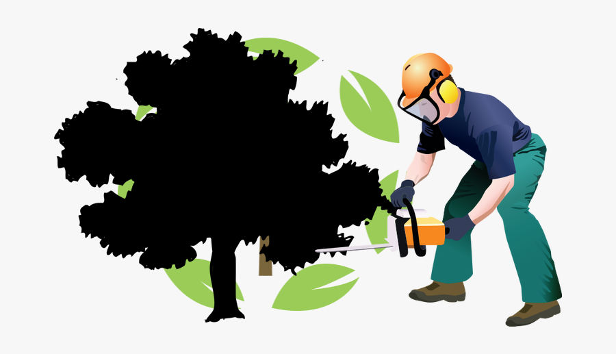 Tree Removal Houston Tx - Tree Clipart, Transparent Clipart
