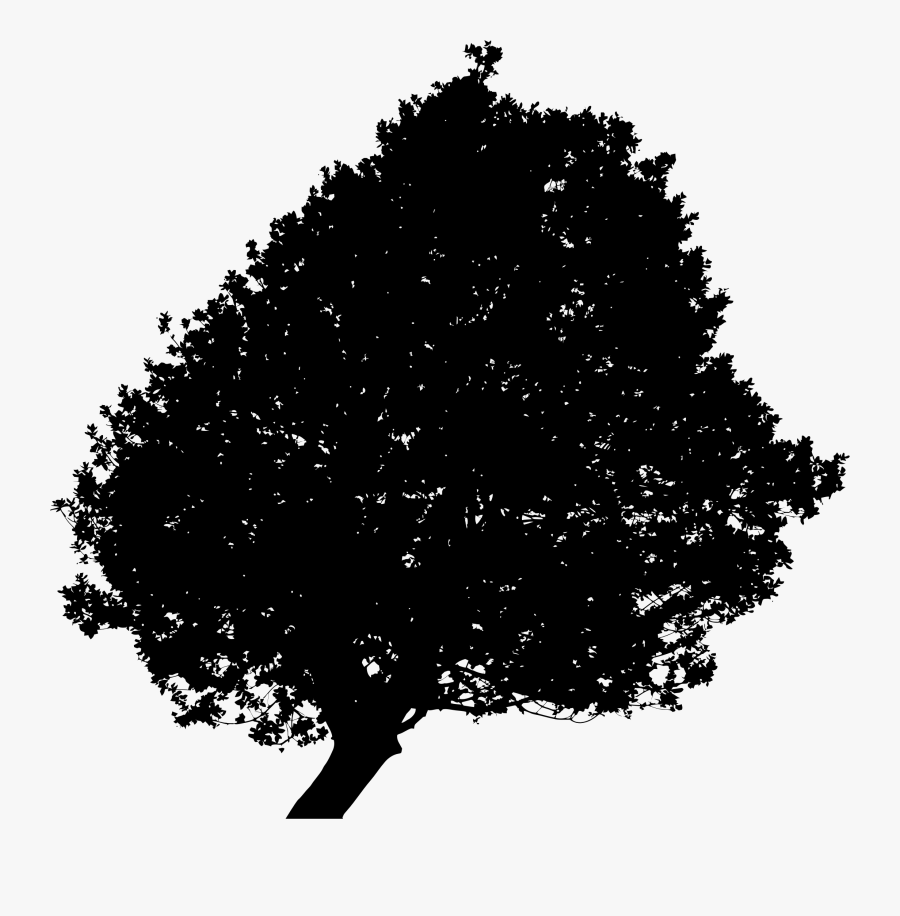 Lonely Tree Silhouette 2 Minus Ground, Transparent Clipart