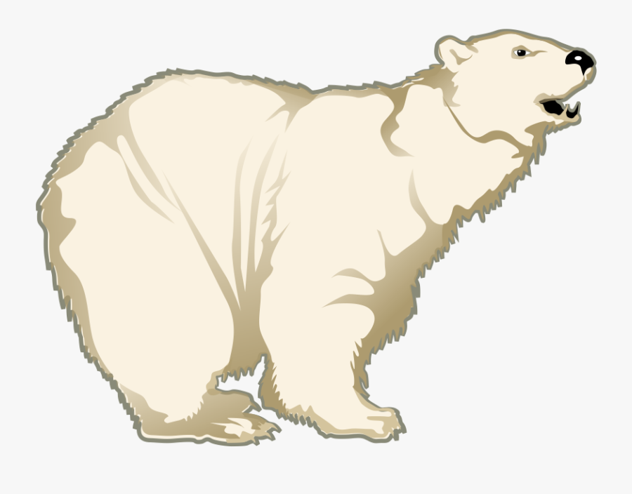 Polar Bear Free To Use Clip Art - Polar Bear Cartoon Transparent Background, Transparent Clipart