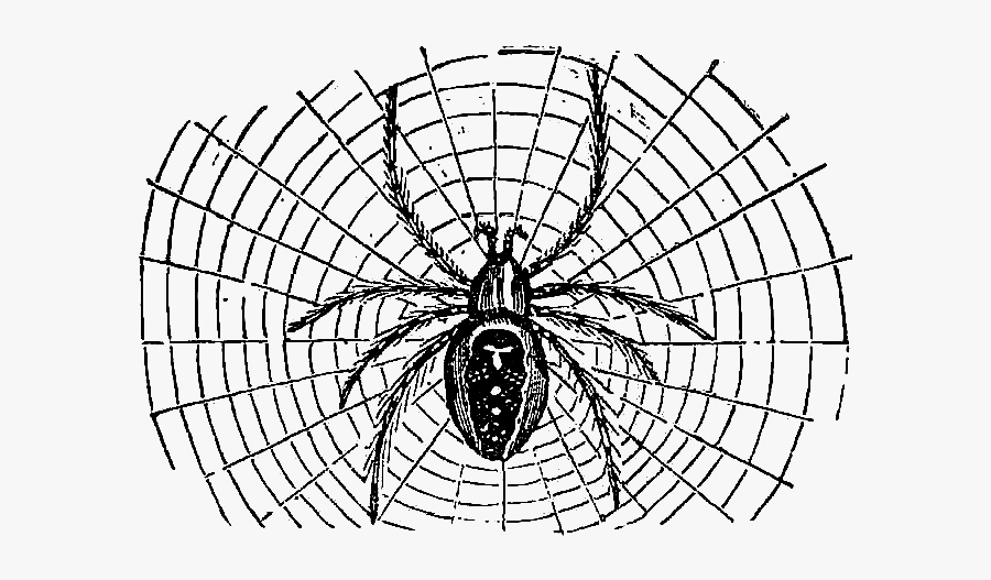 Free Halloween Clip Art - Spider Web Vintage Clipart, Transparent Clipart
