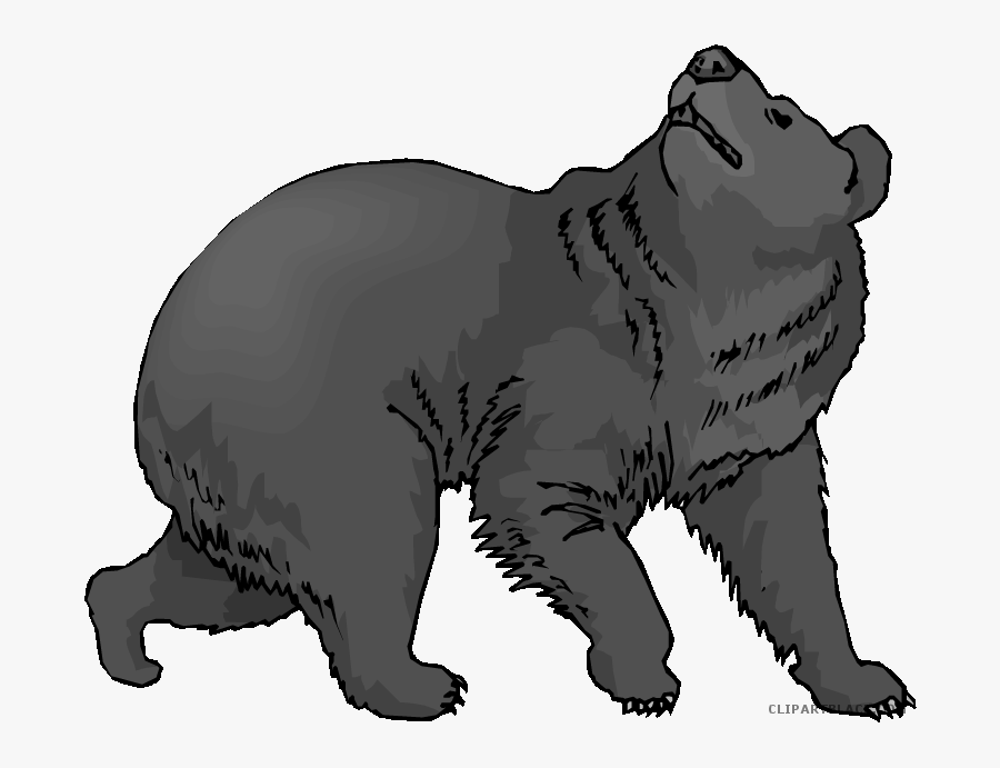 American Black Bear Clip Art Grizzly Bear Polar Bear - Clip Art Of Bears, Transparent Clipart