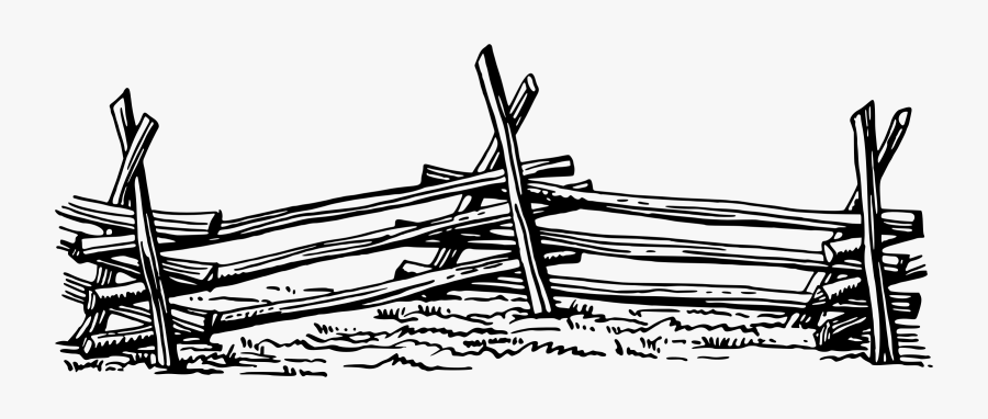 Line Art,plant,art - Illustration, Transparent Clipart