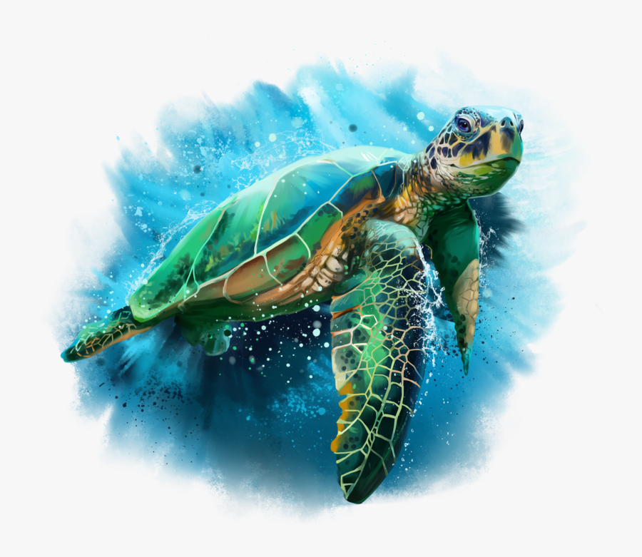 Sea Turtle Transparent Background, Transparent Clipart