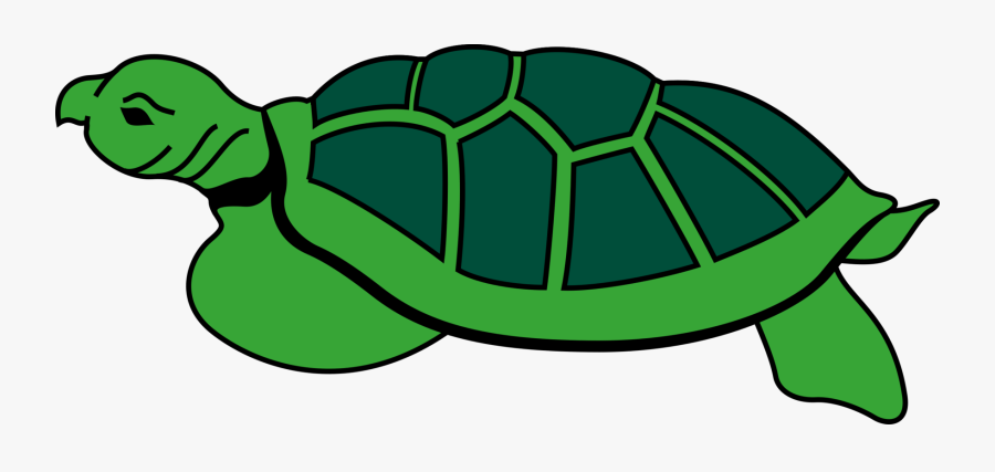 Turtle,reptile,leaf - Tortoise Cartoon Image In Png, Transparent Clipart