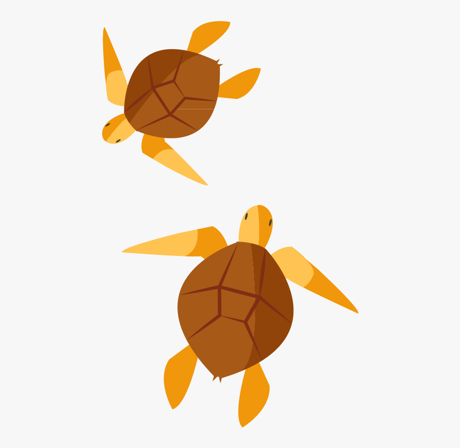 Turtle Clip Art - Turtle Png Vector, Transparent Clipart