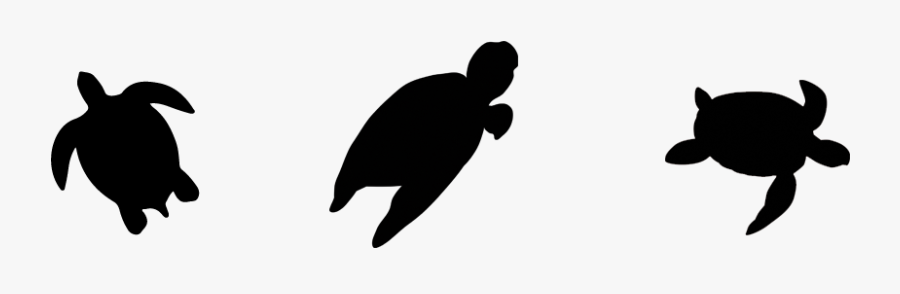"

 
 Data Rimg="lazy"
 Data Rimg Scale="1"
 Data Rimg - Sea Turtle Silhouette, Transparent Clipart