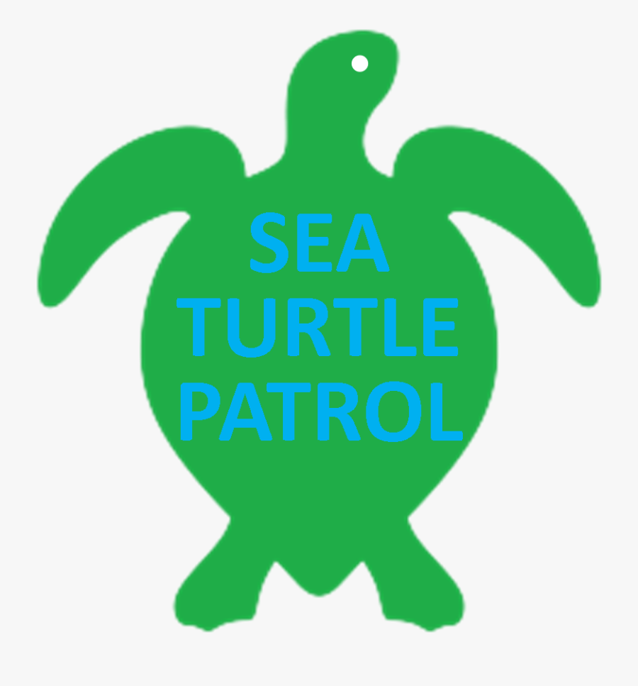 Clip Art Clipart Huge Freebie - Tortoise, Transparent Clipart