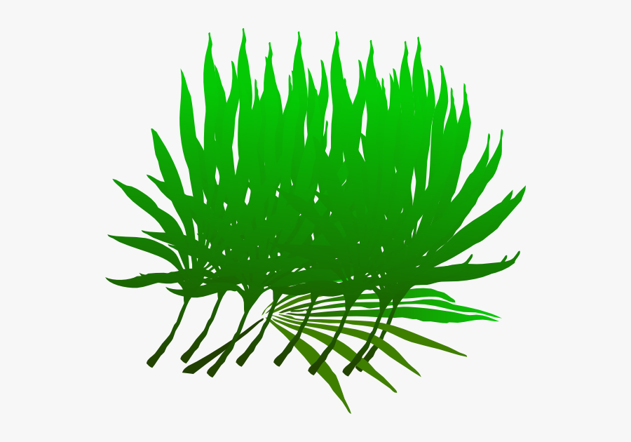 Palm Frond Clip Art, Transparent Clipart