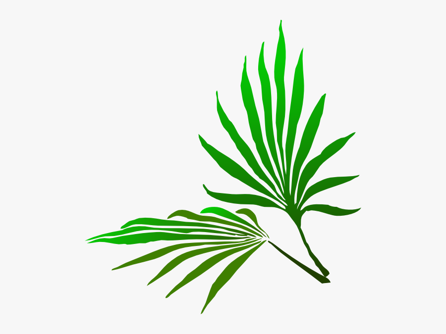 Palm Sunday Branch Hi2 - Palm Sunday Branch, Transparent Clipart