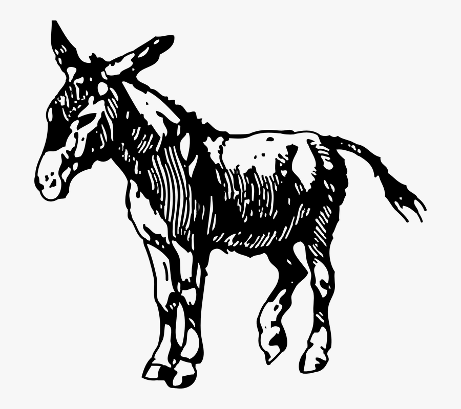 Donkey Clip Art, Transparent Clipart