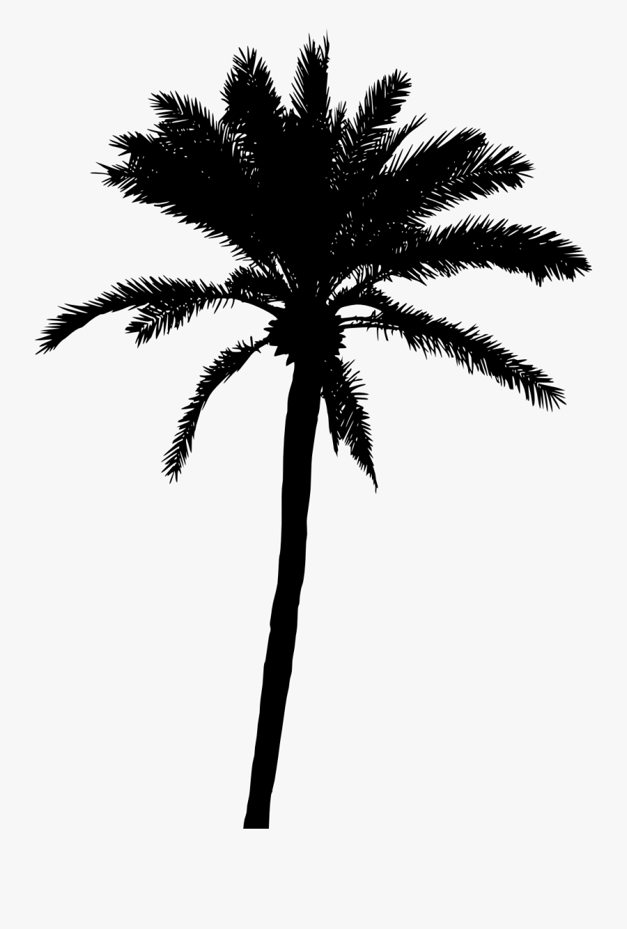 20 Palm Tree Silhouette Vol - Palm Tree Vector Png, Transparent Clipart