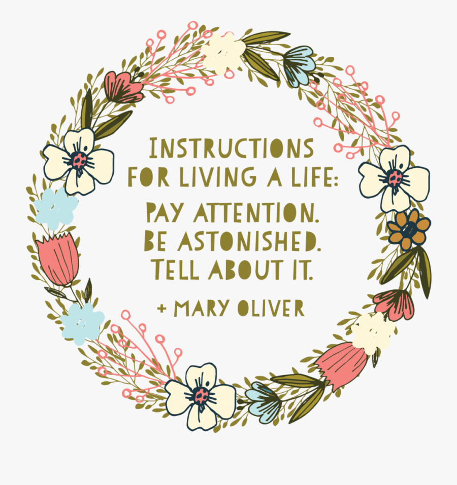 Mary Oliver Pay Attention Poem, Transparent Clipart