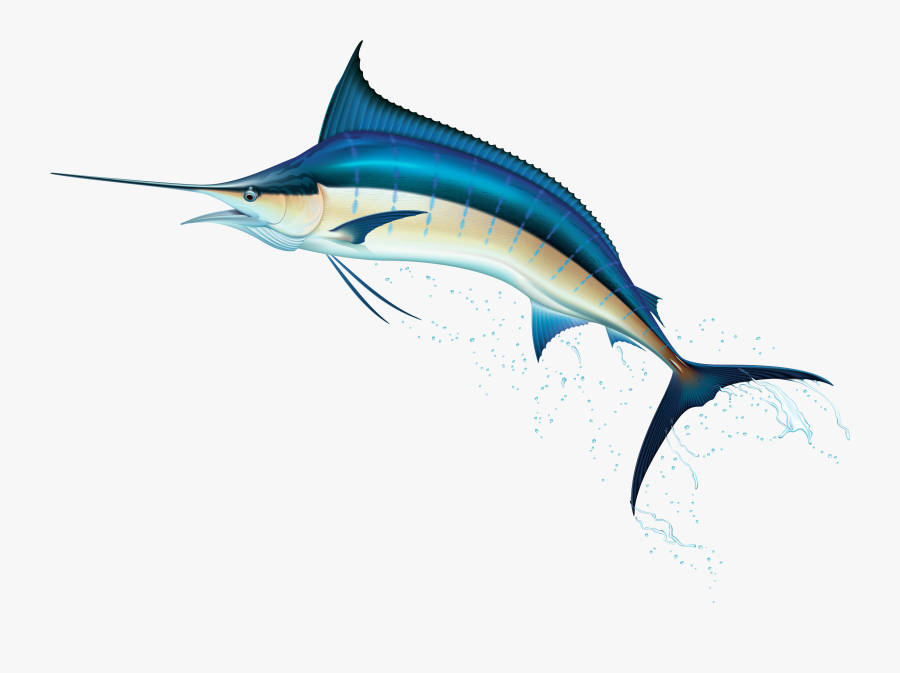 Swordfish Png Clip Art - Atlantic Blue Marlin, Transparent Clipart