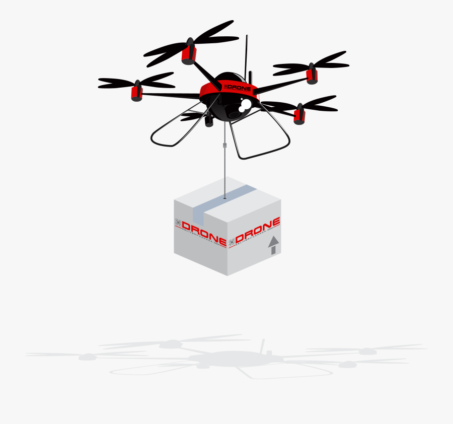 Drone 2 - - Insect, Transparent Clipart