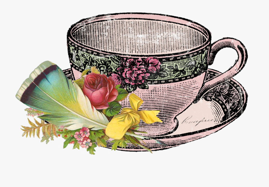 Feathers, Transparent Clipart