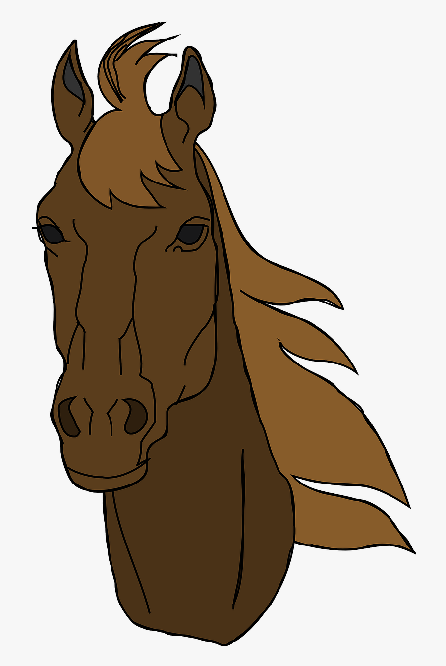 Transparent Horse Head Png - Horse Head Clip Art, Transparent Clipart