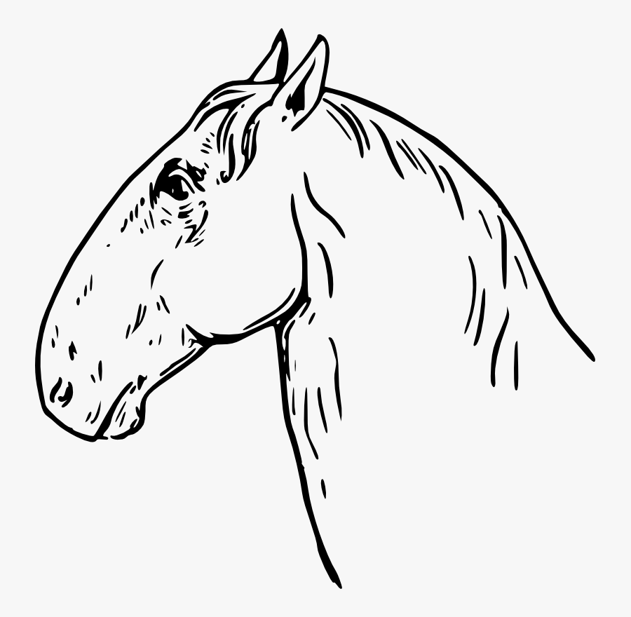 Ram-headed Horsehead - Caballo Cabeza De Carnero, Transparent Clipart