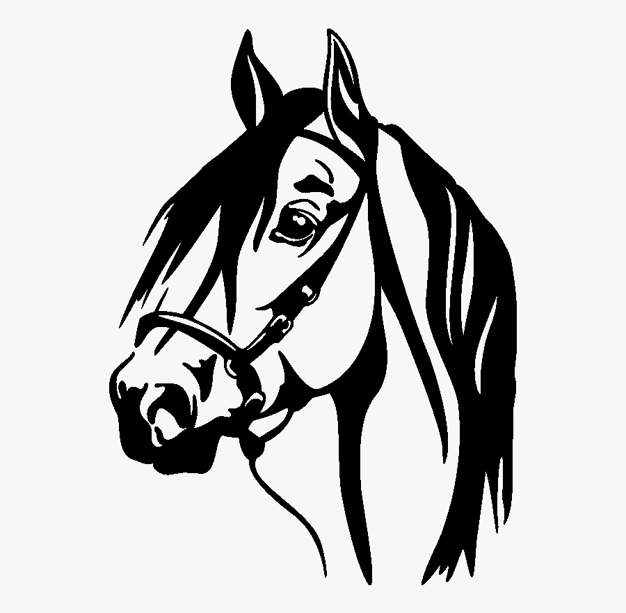 Horse Head Silhouette Png For Kids - Silueta De Cabeza De Caballo, Transparent Clipart