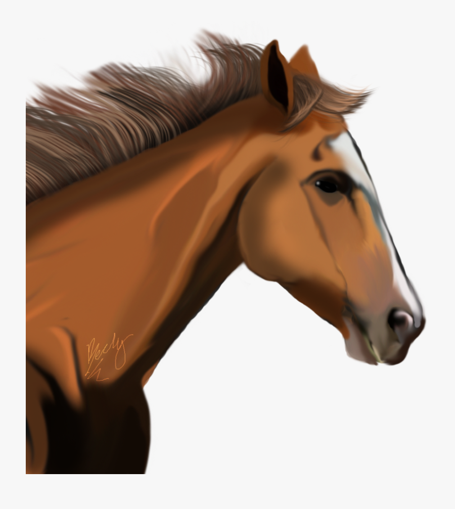 Horse Head Transparent Background, Transparent Clipart