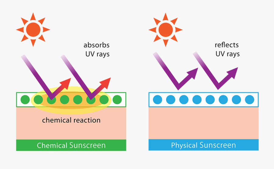 Transparent Sunburn Clipart - Physical And Chemical Sun Filters, Transparent Clipart