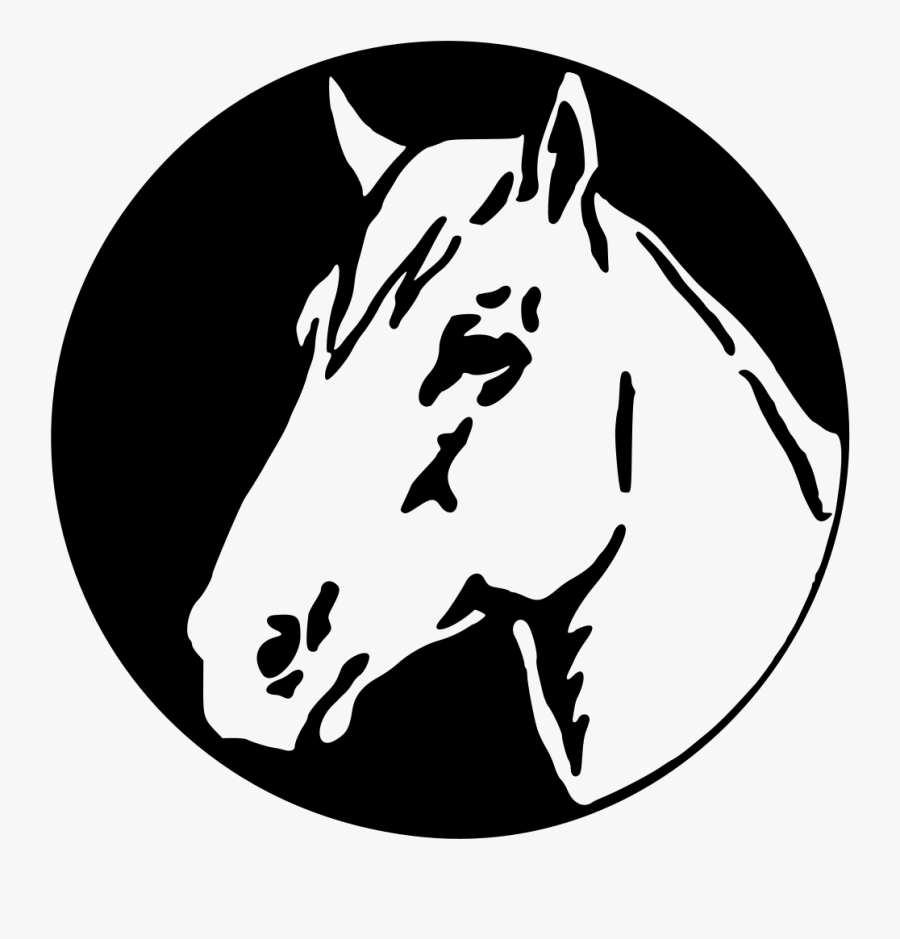 Horse Head - Cabeza Caballo Vector Png, Transparent Clipart