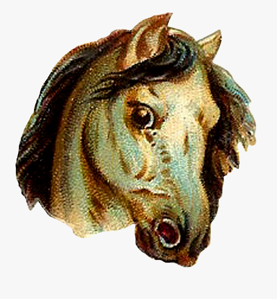 Horse Illustration Vintage - Vintage Horse Clipart, Transparent Clipart