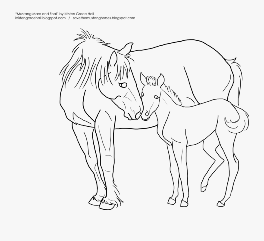 Horse And Foal Drawing At Getdrawings - Line Art, Transparent Clipart