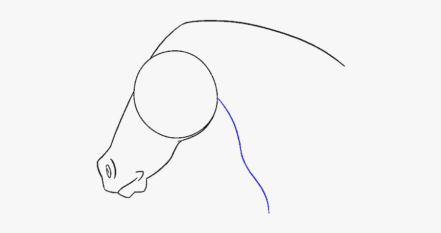How To Draw Horse Head - Line Art, Transparent Clipart