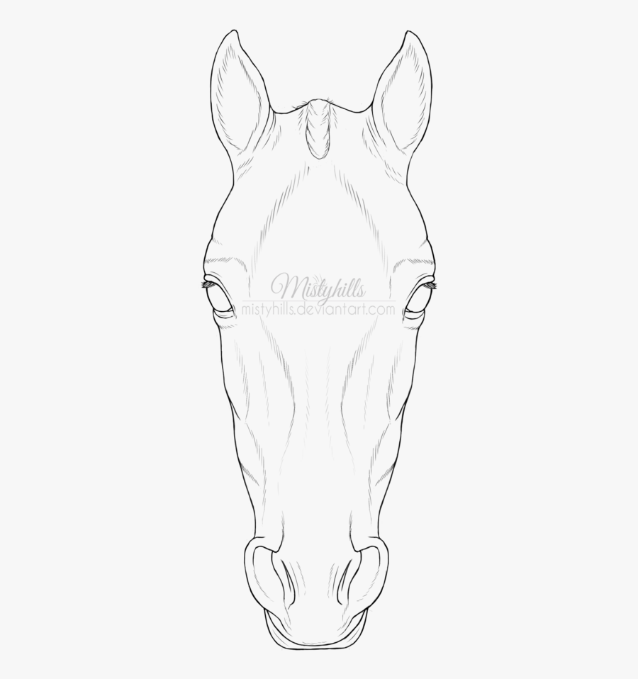 Clip Art Horse Head Drawings - Horse Head Front Draw, Transparent Clipart
