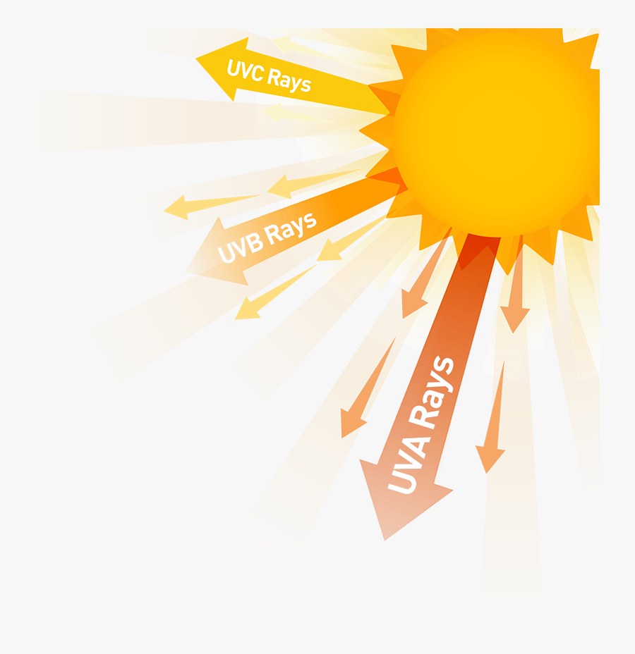 Skin Clipart Sun Exposure - Sun Uv Rays, Transparent Clipart