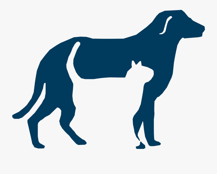 Veterinary Assistant - Shepherdsville Animal Hospital, Transparent Clipart