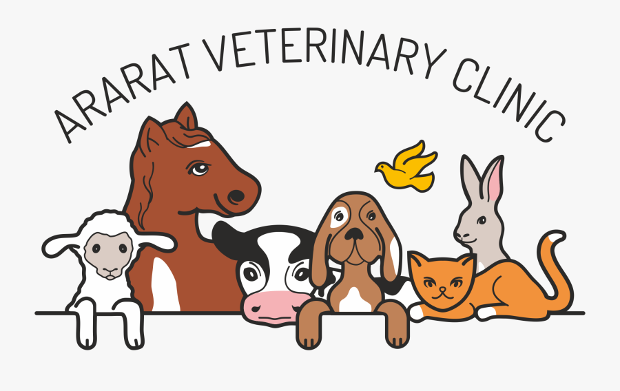 Ararat Veterinary Clinic, Ararat, Victoria - Cartoon, Transparent Clipart