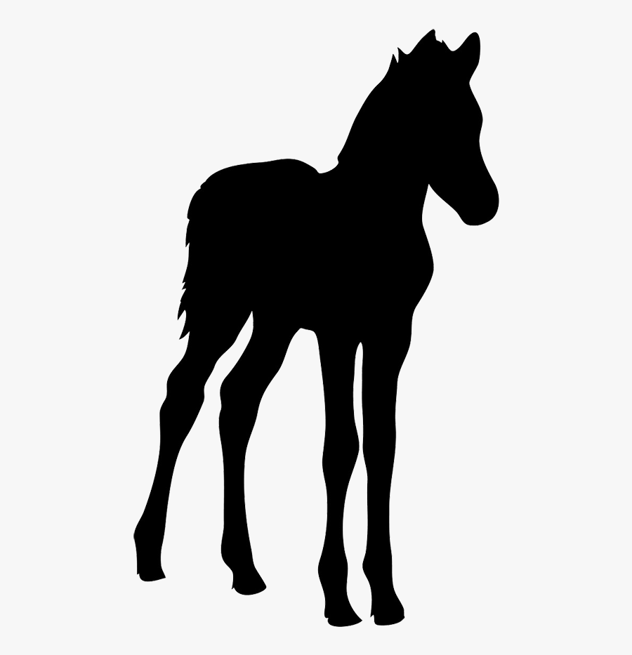 Horse Silhouette - Silhouette Of A Baby Horse, Transparent Clipart