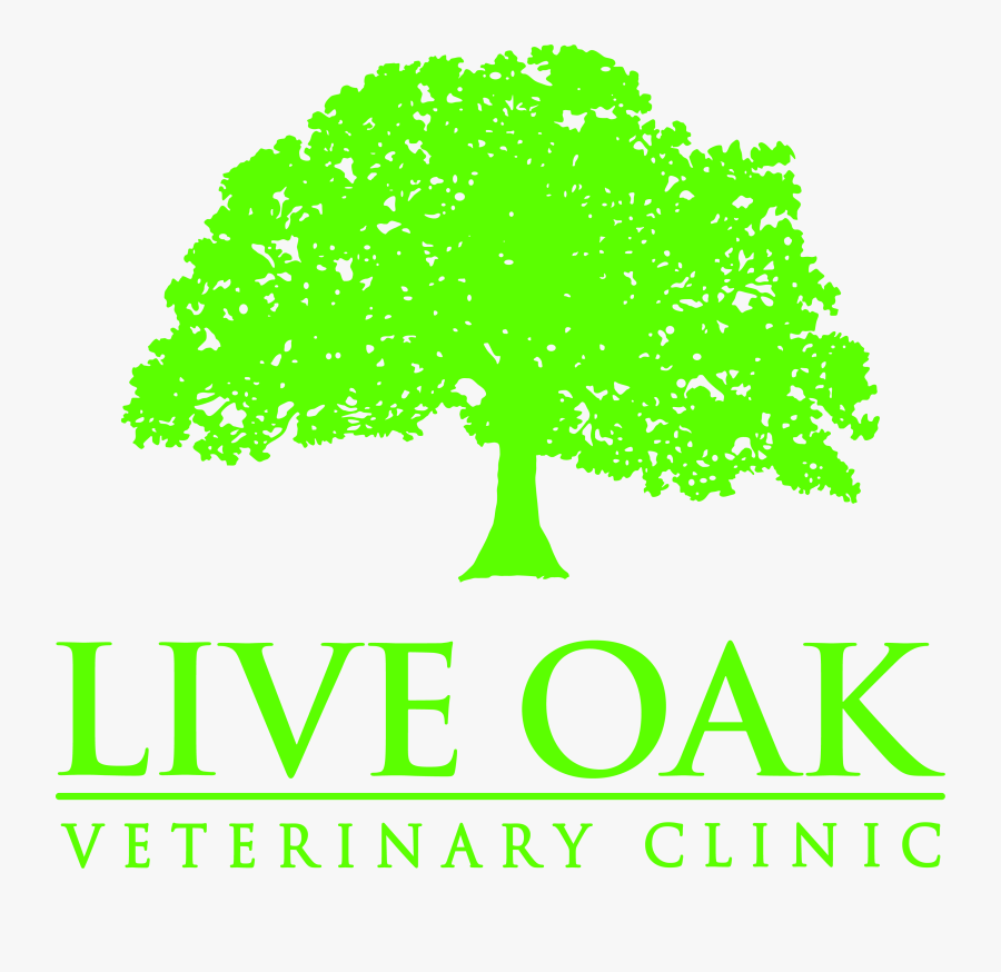 5 Star Veteran Center Logo, Transparent Clipart