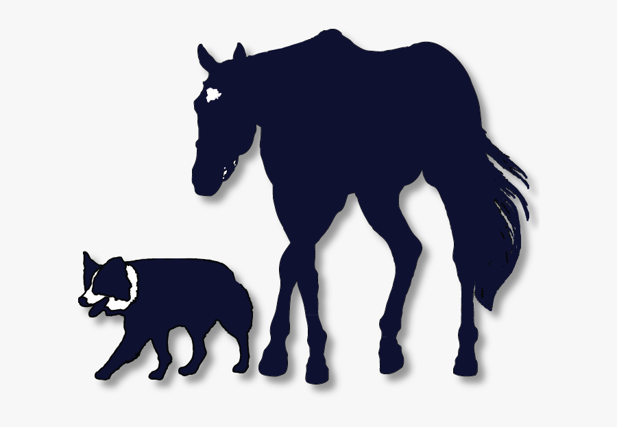 Cogswell Vet Logo Flip Dropshadow - Mane, Transparent Clipart