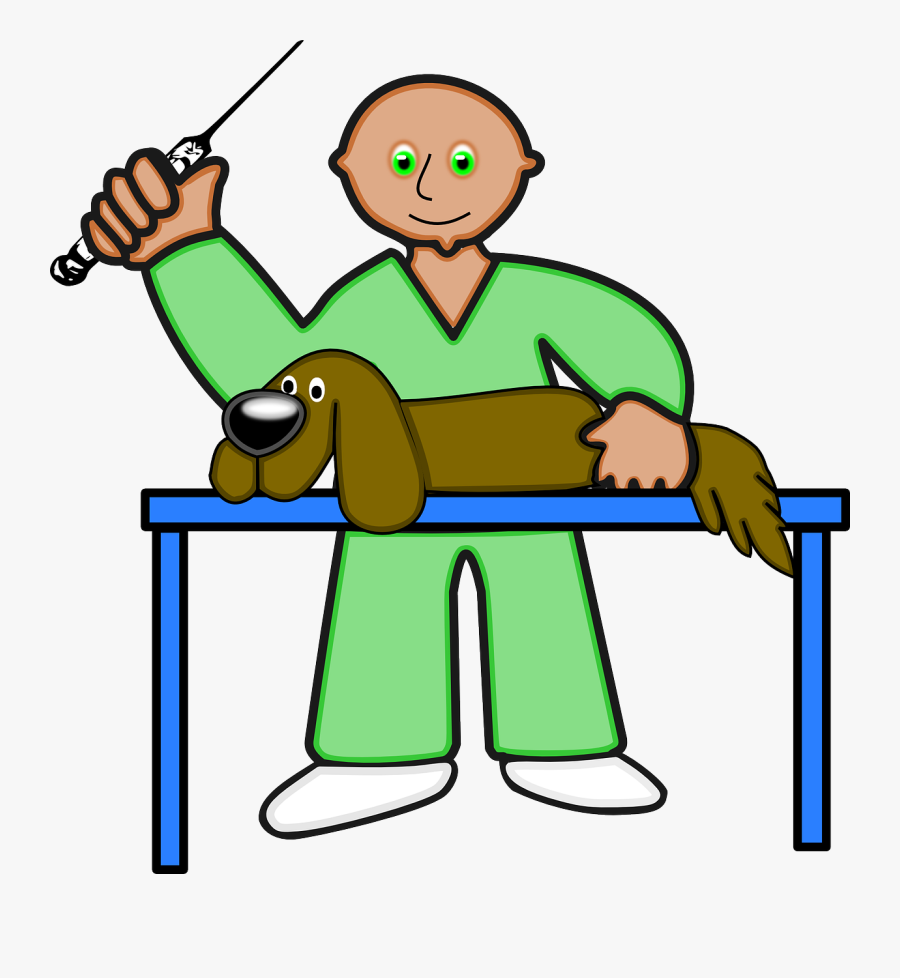 Veterinary Dog Medicine Free Picture - Veteriner Png, Transparent Clipart