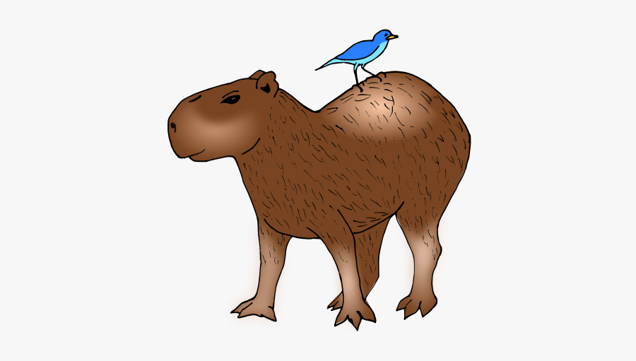 Capybara Clipart, Transparent Clipart