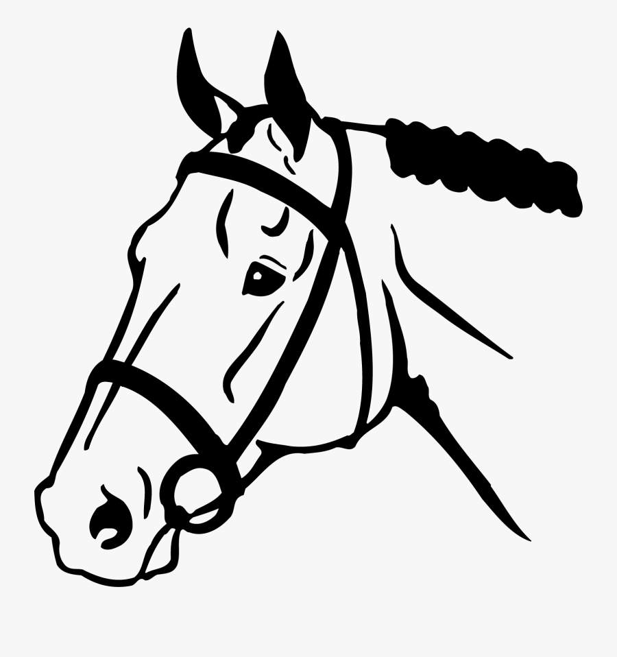 Horse Head Png Clipart Horse Face Clip Art Free Transparent Clipart Clipartkey