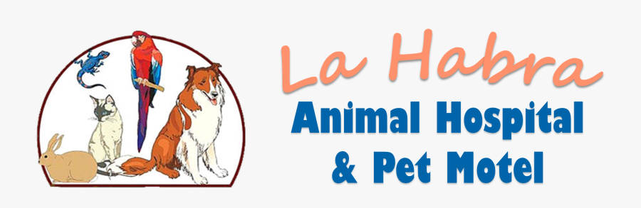 Siberian Tiger, Transparent Clipart