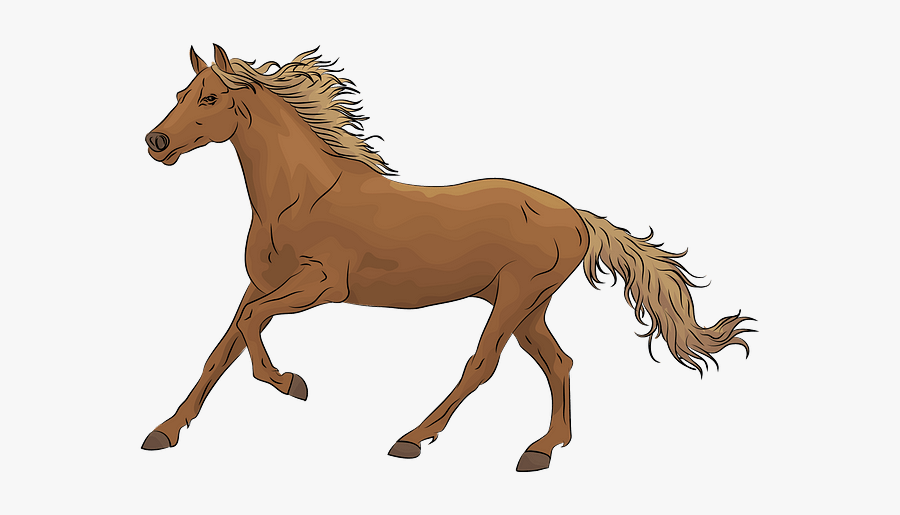 Horse Vector, Transparent Clipart