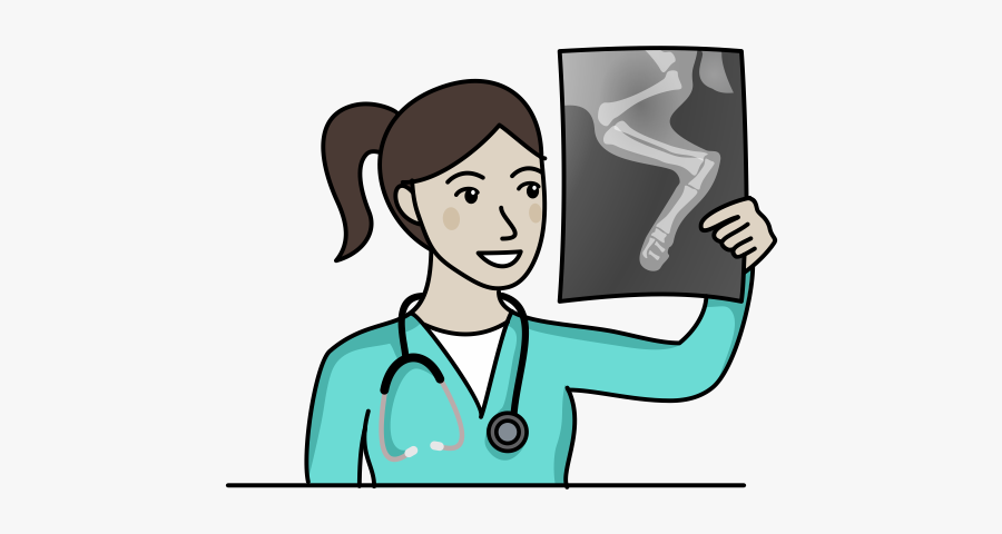 X-ray Report Icon - Cartoon, Transparent Clipart